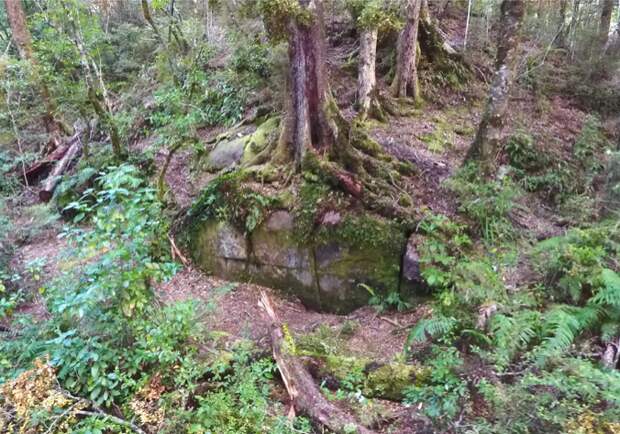 Стена Кайманава: как политики запрещают историю