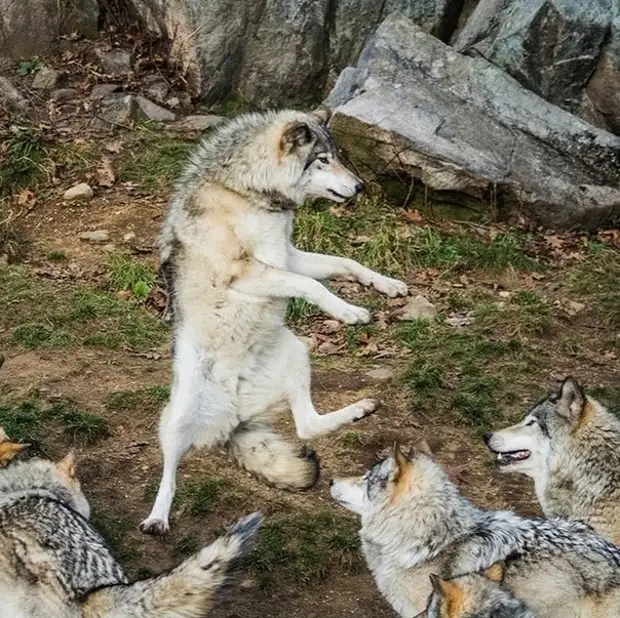 � �������� �� ����� ���