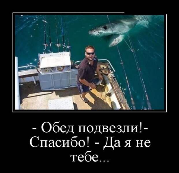 Демотиваторы (30 фото)