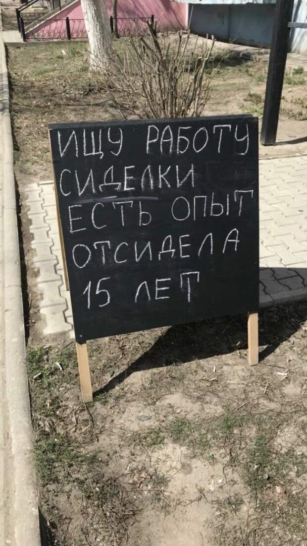 Необычные няни и те, кому бы вы точно оставили своего малыша