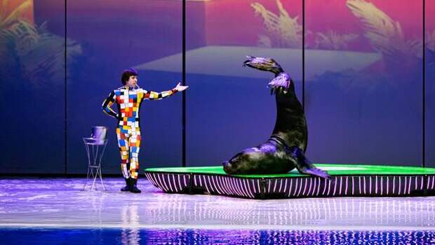 От подводных миров до театра теней: главные детские спектакли марта