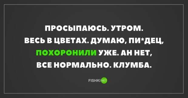 Картинки с надписями для настроения картинки с подписями, подборка, позитив, юмор