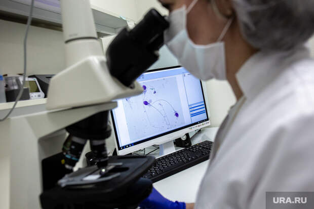 В Перми из-за карантина перестали выдавать направления на ЭКО