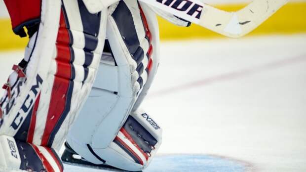 Hockey goalie pads