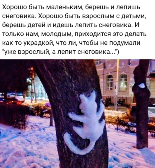 Подборка картинок. Вечерний выпуск (20 фото)