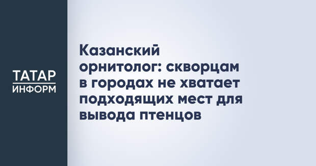 Казанский орнитолог: скворцам в городах не хватает подходящих мест для вывода птенцов