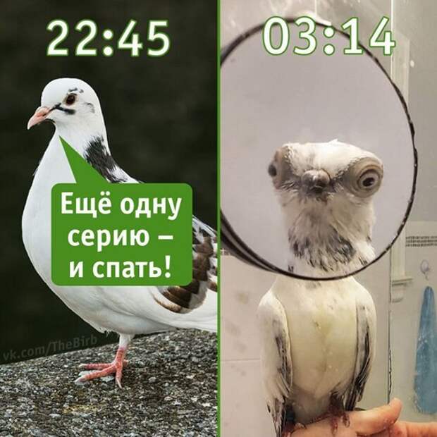 Еще одну серию Еще одну серию