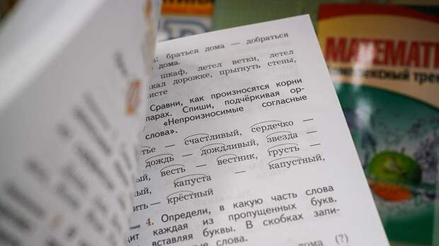 Половина поступающих в школы Петербурга детей мигрантов не сдали русский язык
