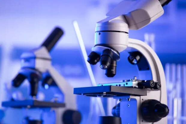 ученые представили сверхпрочный композит для биомедицины и машиностроения