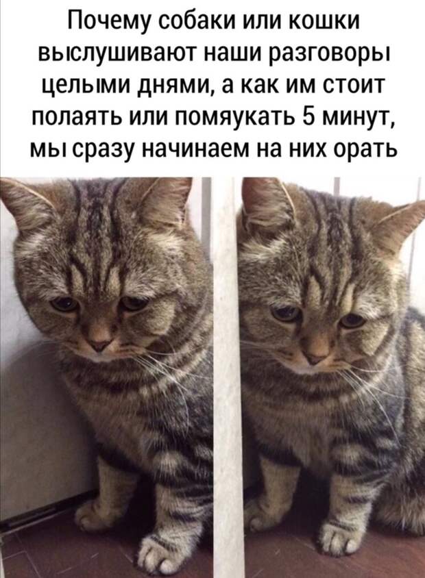 Несправедливость Несправедливость