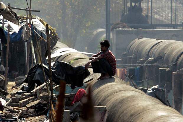 Российский телеведущий пожаловался на испражняющихся на улицах одной страны людей