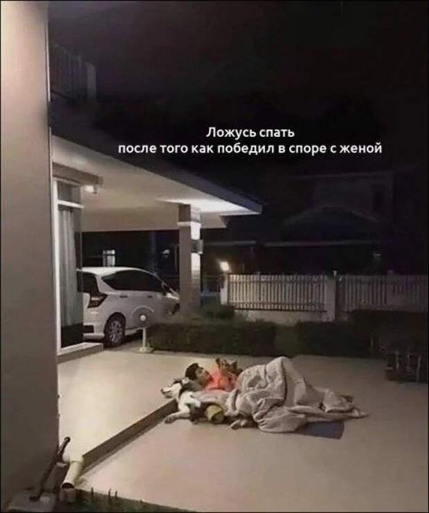 Новые прикольные картинки дня!!!