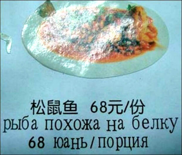 Ни рыба, ни мясо. Ни рыба, ни мясо.