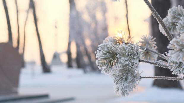 На Алтае начало теплеть. Рассказываем, ждать ли новых морозов после недельного перерыва