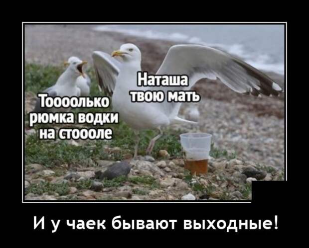 Демотиваторы 9 июня 2021