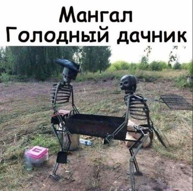 Прикольные до слез свежие картинки с надписями (суббота)