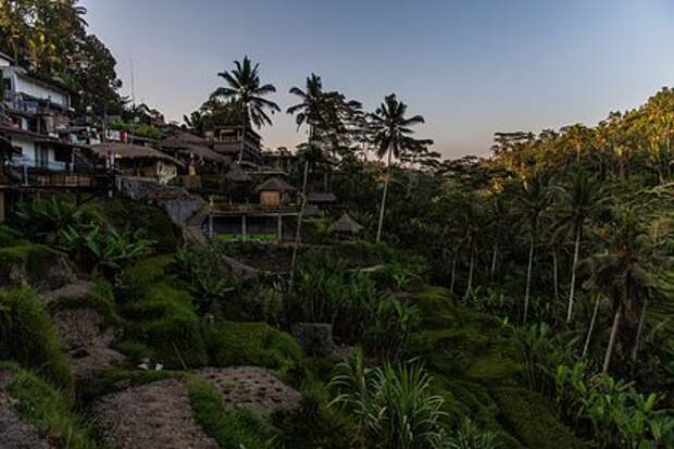 Губернатор Бали сообщил о ликвидации «русских» и «украинских» деревень