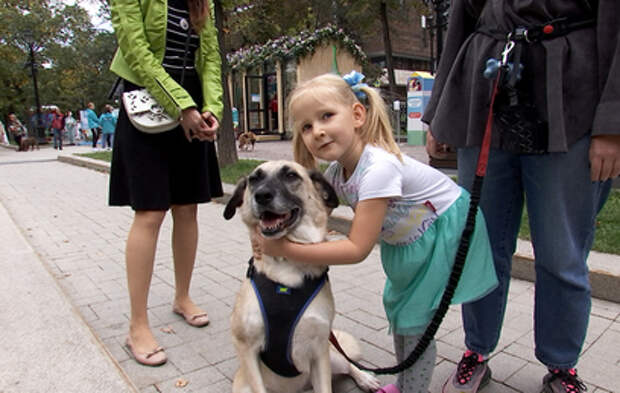 "В добрые руки": в Москве проходит акция в поддержку животных из приютов