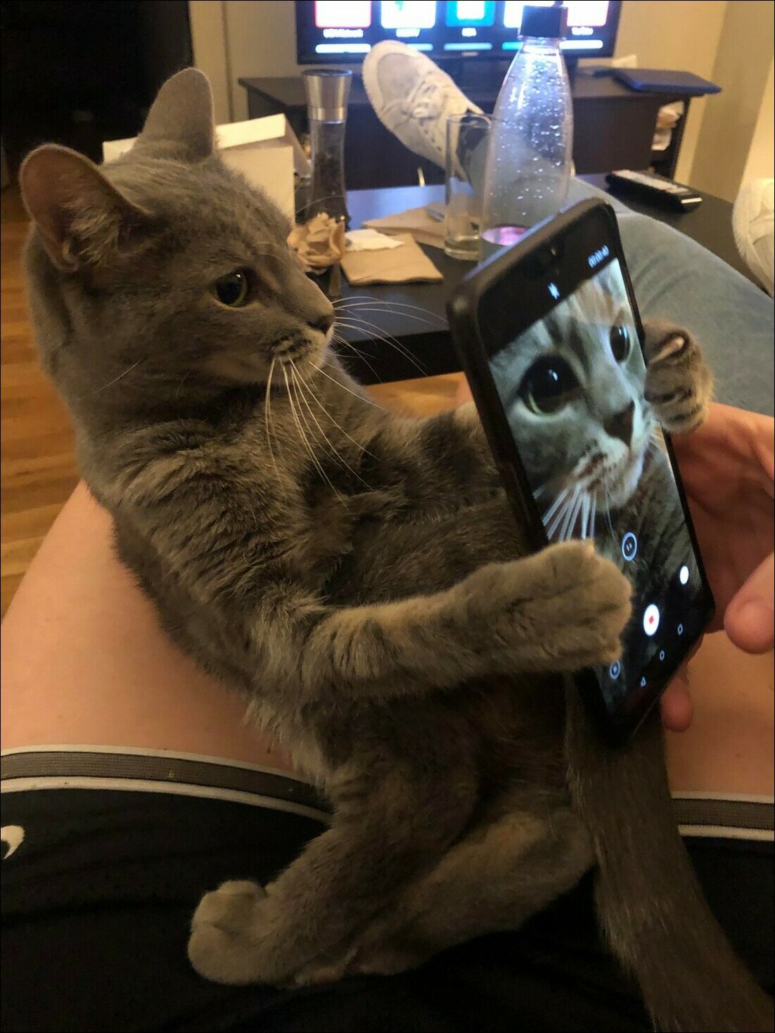 фотоприколы