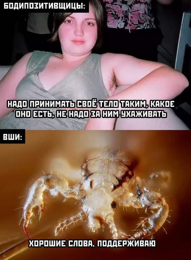 Весёлые