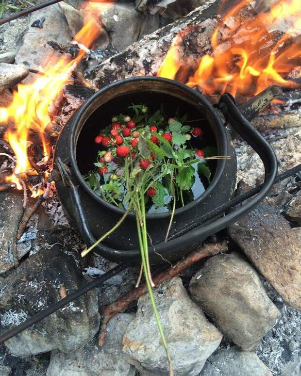 Не мясом единым: небанальные блюда, которые можно приготовить на природе