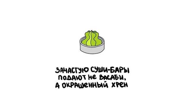 Короткие интересные факты обо всём