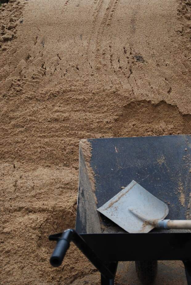 В Аргентине найден редкий гигантский бивень мастодонта возрастом 100 тысяч лет