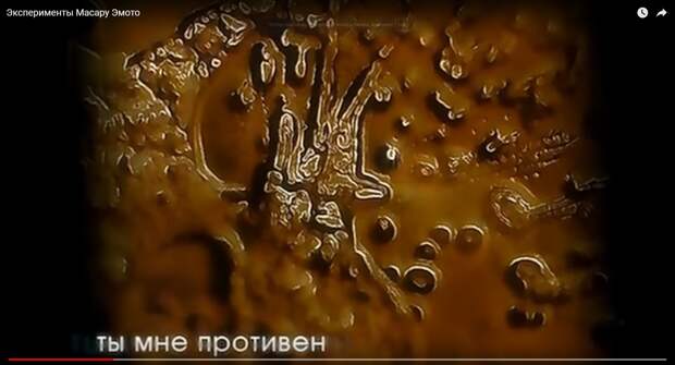 Ты мне противен.