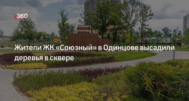 Жители ЖК «Союзный» в Одинцове высадили деревья в сквере