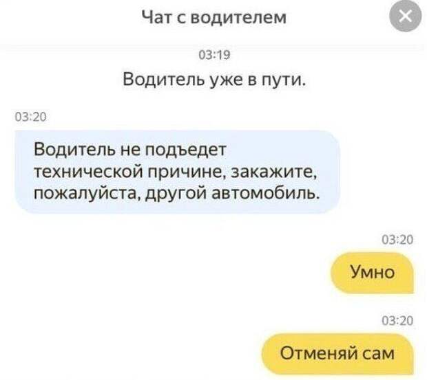 205083_5_trinixy_ru.jpg