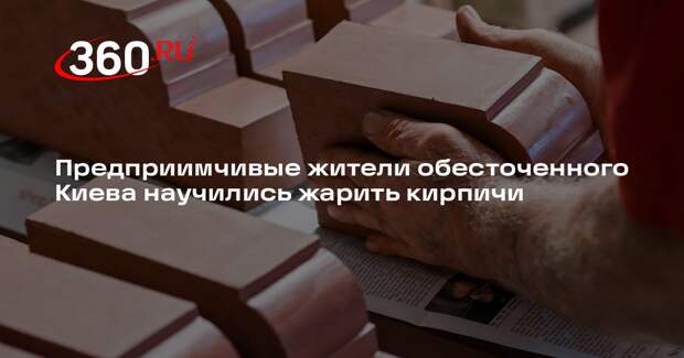 Военкор Стешин: жители Киева для обогрева начали жарить кирпичи на плите