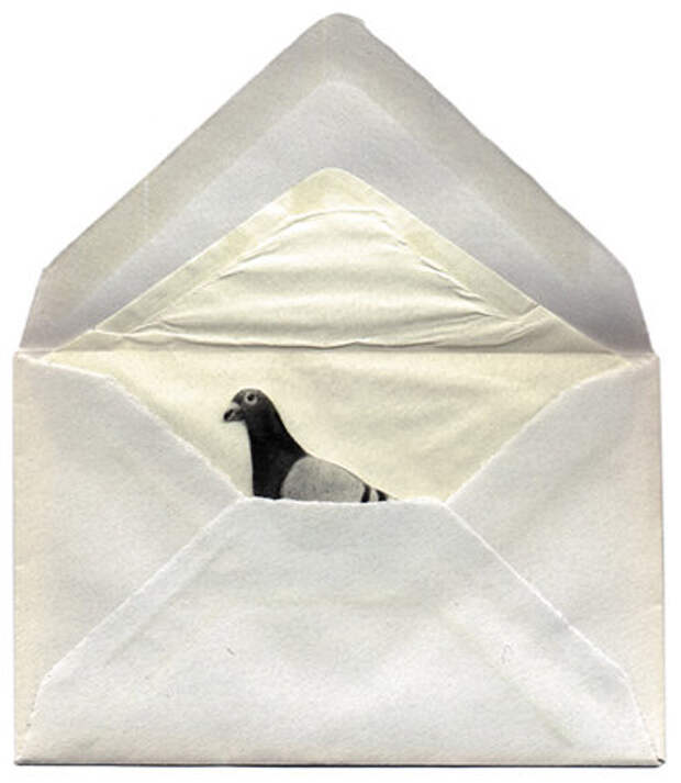 Территория благоустроена запечатанный конверт. Конверт белый. Запечатанный конверт. Тканевый конверт. Тканевые конверты для украшений.