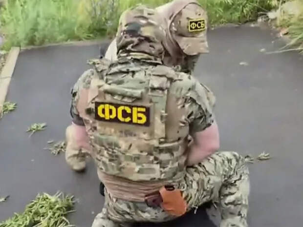 Готовили «Паутину-2»: в двух регионах РФ предотвратили операцию ВСУ по запуску БПЛА из домов на колесах