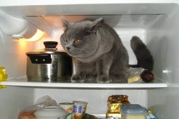 Как меньше потеть в жару - советы. 