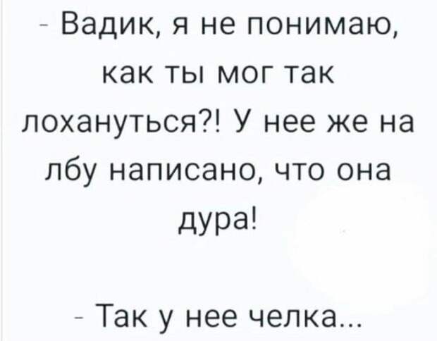 206386_6_trinixy_ru.jpg