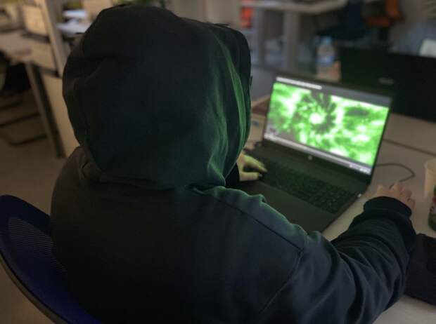 В Петербурге мошенники рассылают поддельные уведомления о теневой занятости