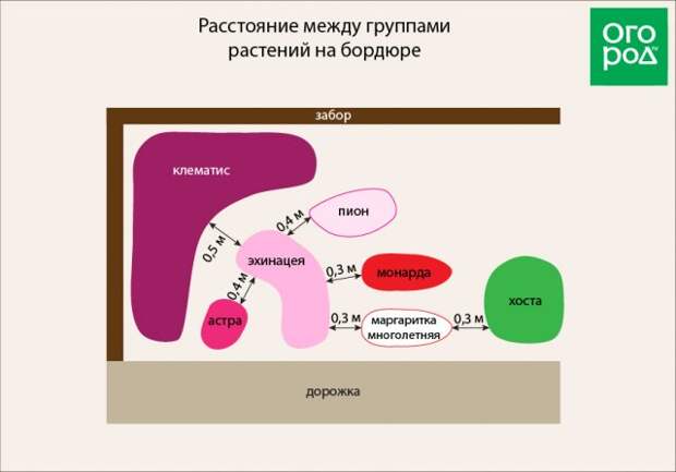 Расстояние между группами растений на бордюре