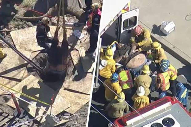 В США мужчина с весом почти 227 кг провалился в яму на стройплощадке