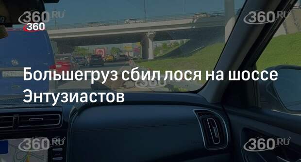 Источник 360.ru: на шоссе Энтузиастов в ВАО Москвы грузовик сбил лося