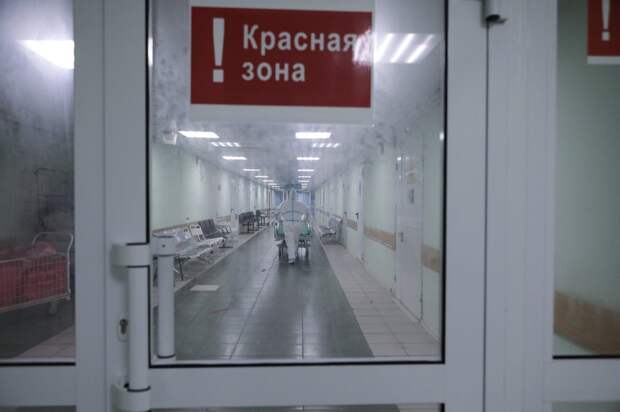 Эксперт рассказал, когда может начаться спад заболеваемости COVID-19 в России