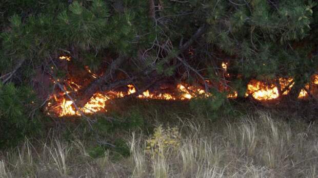 Пал травы: 12 домов сгорели в Нижегородской области