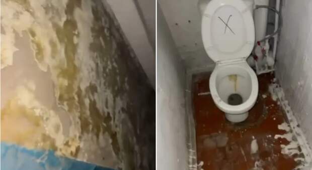 Врач показала служебное жильё в новом городе Алатау: что ответили в акимате