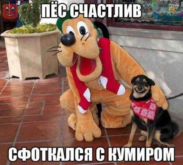 32 Фото Для Отличного Настроения На Всю Неделю! 32 Фото Для Отличного Настроения На Всю Неделю!
