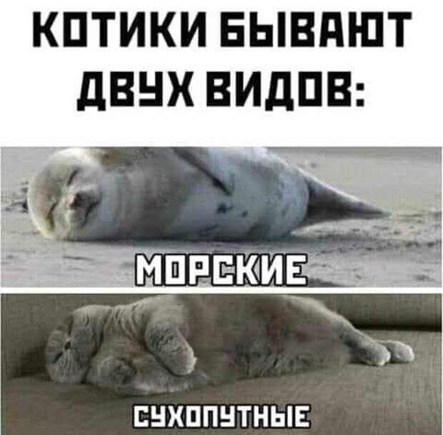 Суровая школа армейской жизни:  Товарищи бойцы! Спите быстрее!...