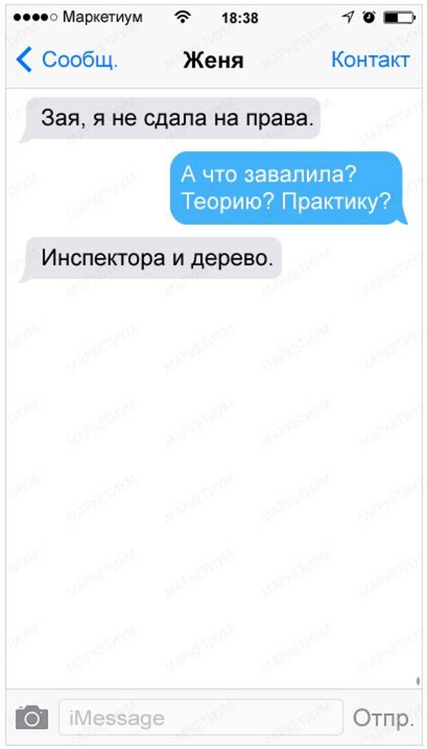 Завалил теорию. Смс от коллекторов