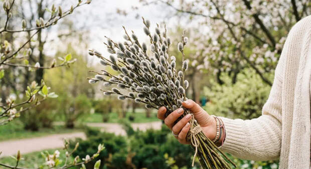 Вербное воскресенье: смысл праздника перед Пасхой