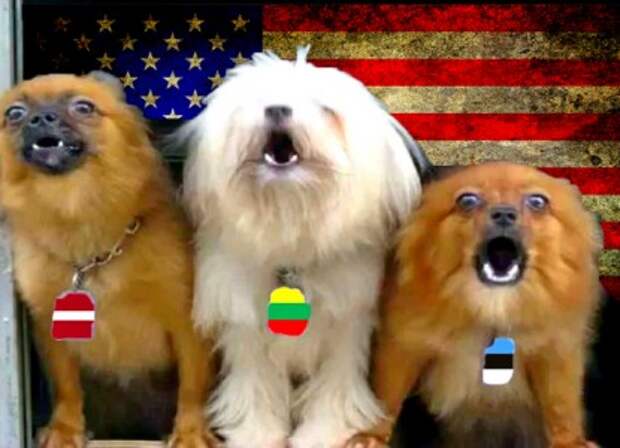 прибалты