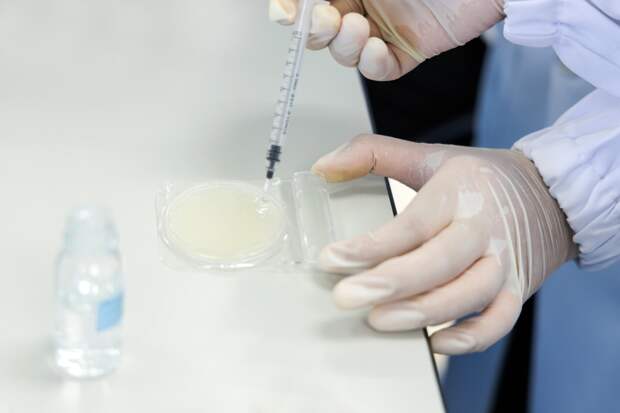 Учёные восстановили 1700-летнюю бактерию и создали из неё простоквашу в космосе