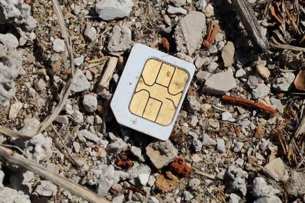 Как получают золото из старых SIM-карт Как получают <a href='https://econet.ru/articles/tagged?tag=%D0%B7%D0%BE%D0%BB%D0%BE%D1%82%D0%BE' target='_blank'>золото</a> из старых SIM-карт