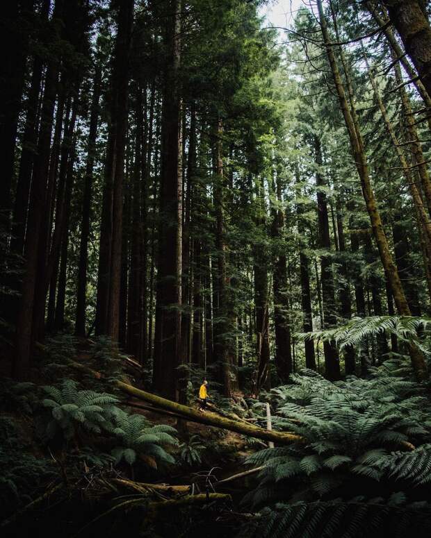 Фотографии из поездок Джеймса Артура, зовущие в путь...